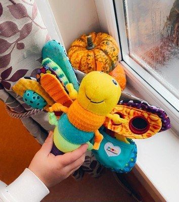 Lamaze view 5