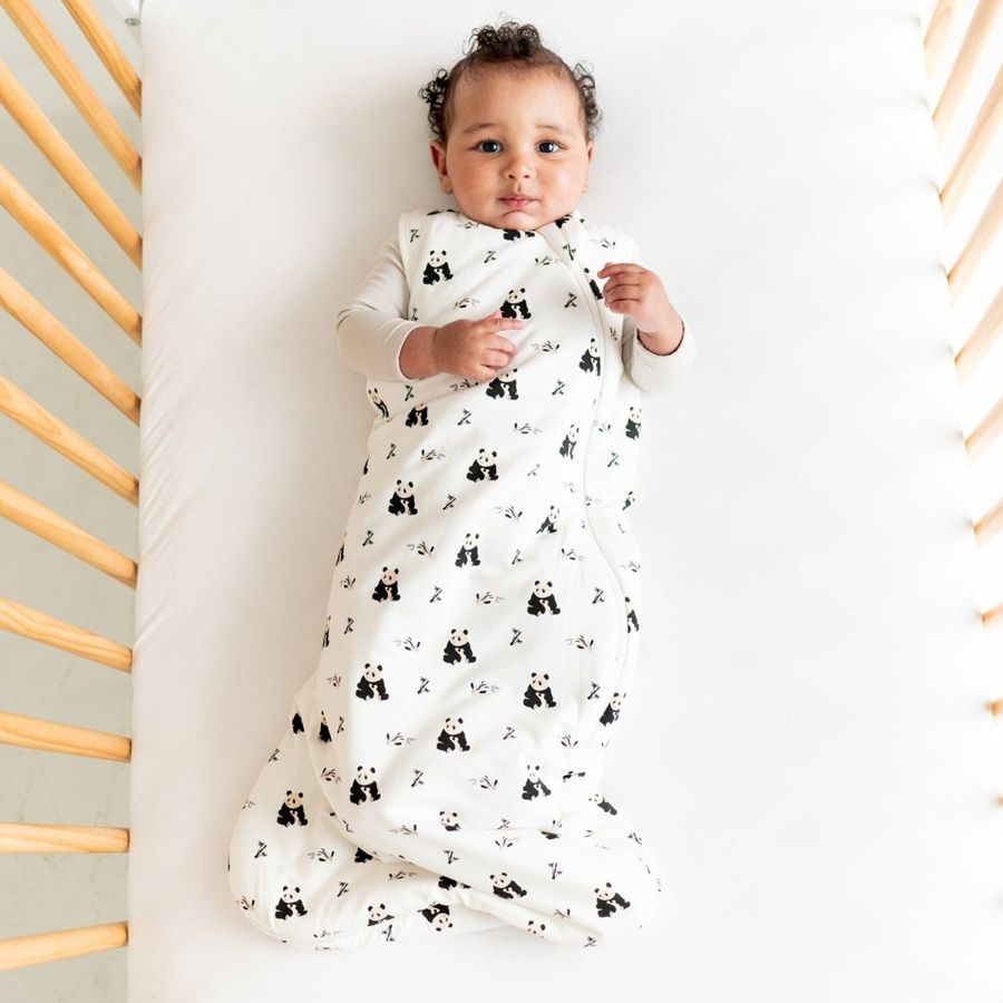 Kyte Baby view 3