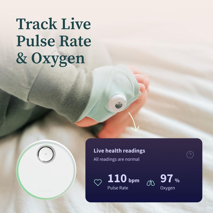 Owlet view 2