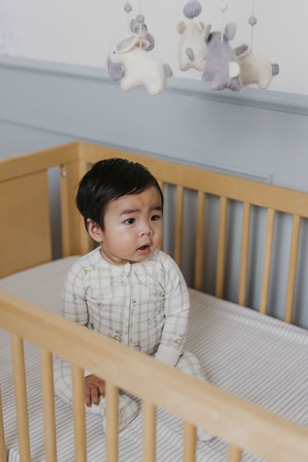 Pehr Pehr Organic Crib Sheet — baby & kids product