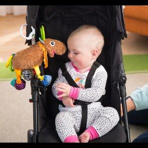 Lamaze view 4